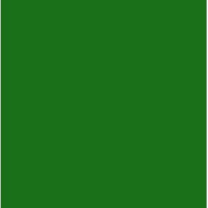 Cropped Brasil