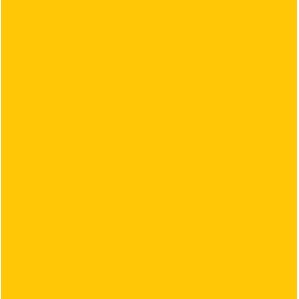 Cropped Brasil